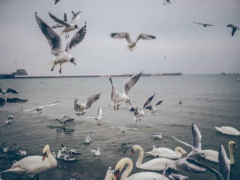 sudoku solution check